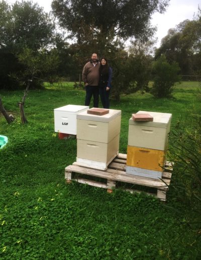 Fleurieu Honey McLaren Vale SA honey product buy online